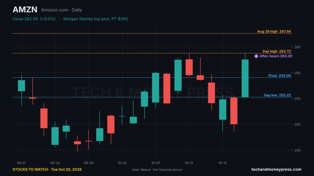 Amazon (AMZN) daily chart with key levels. Data: Webull.
